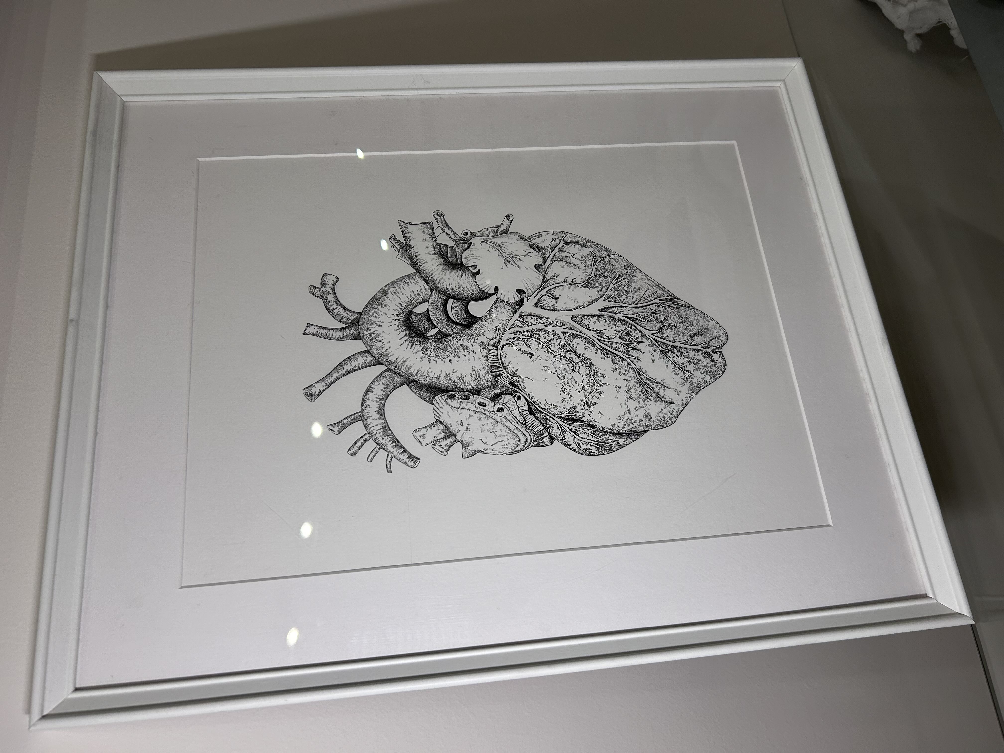 Anatomik Kalp - Görsel 1