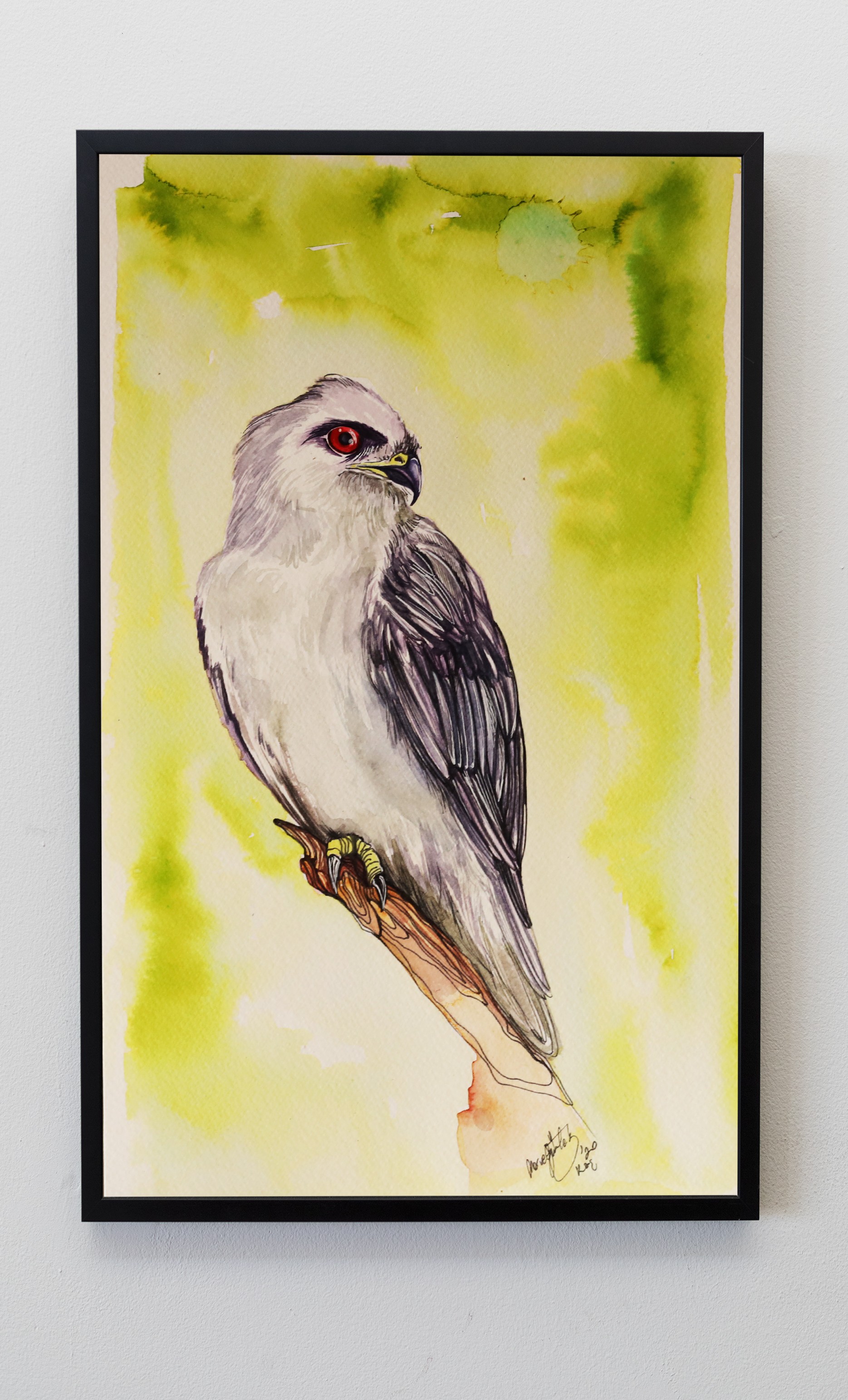 HAWK - Görsel 2