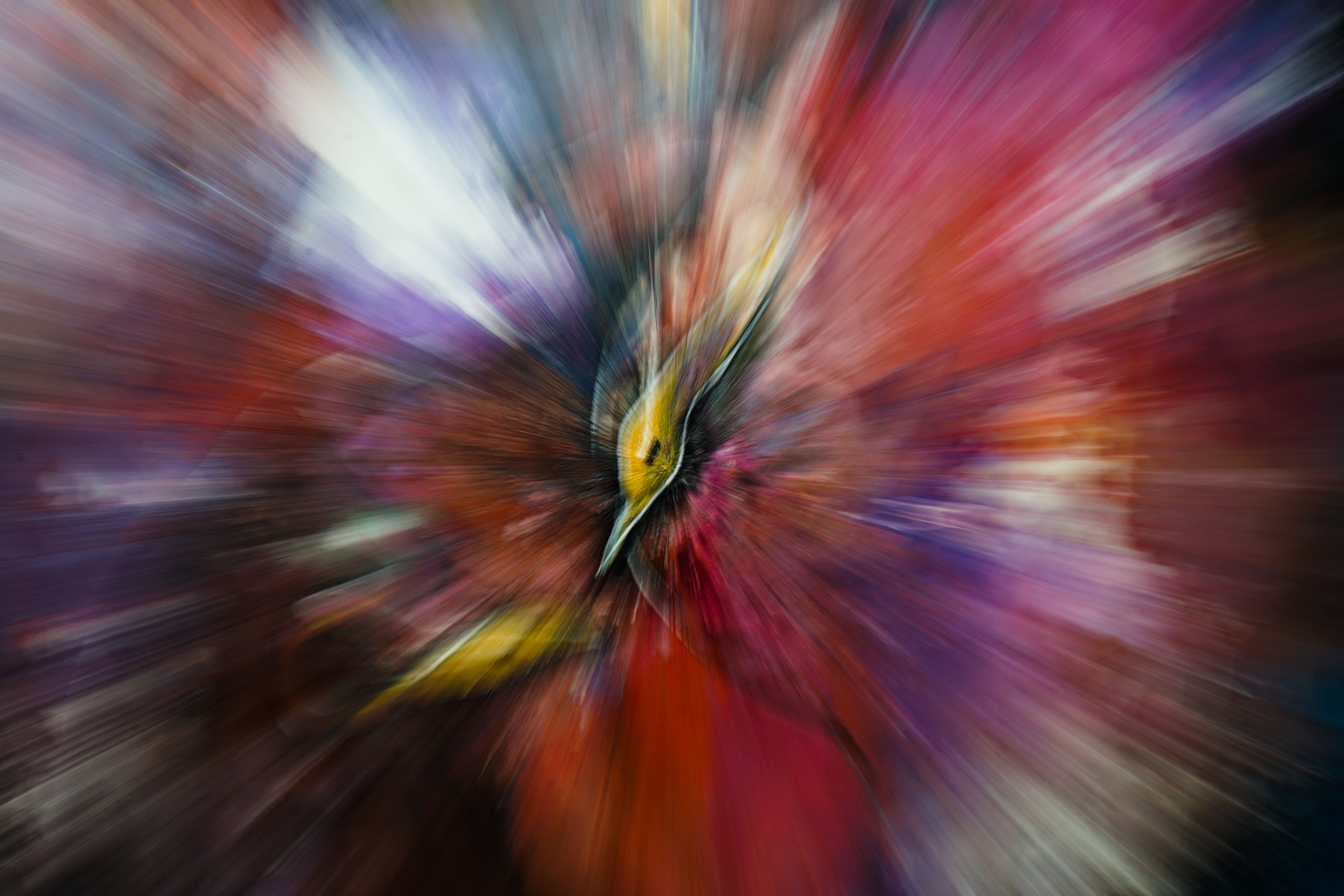 Odak Noktası - Görsel 1