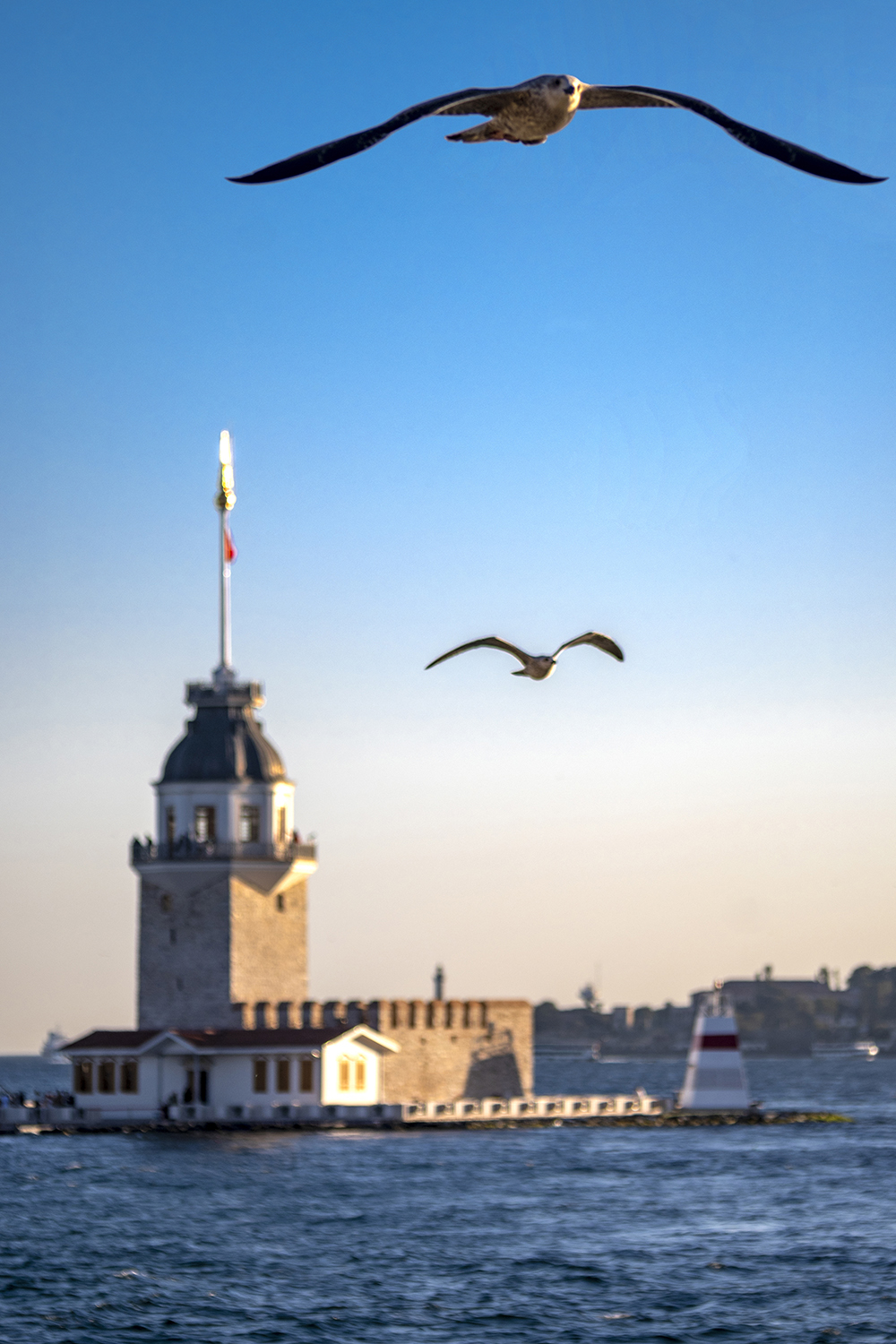 Ardımdaki Güzellik - Görsel 1