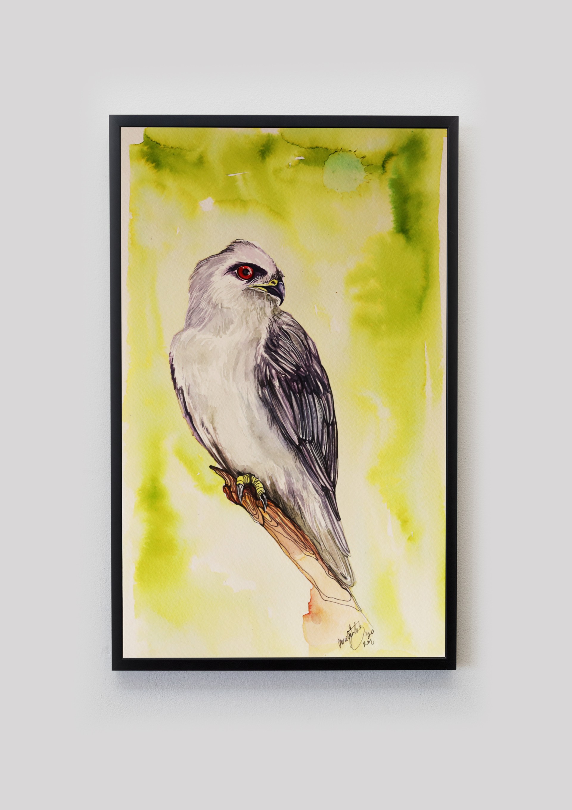 HAWK - Görsel 5