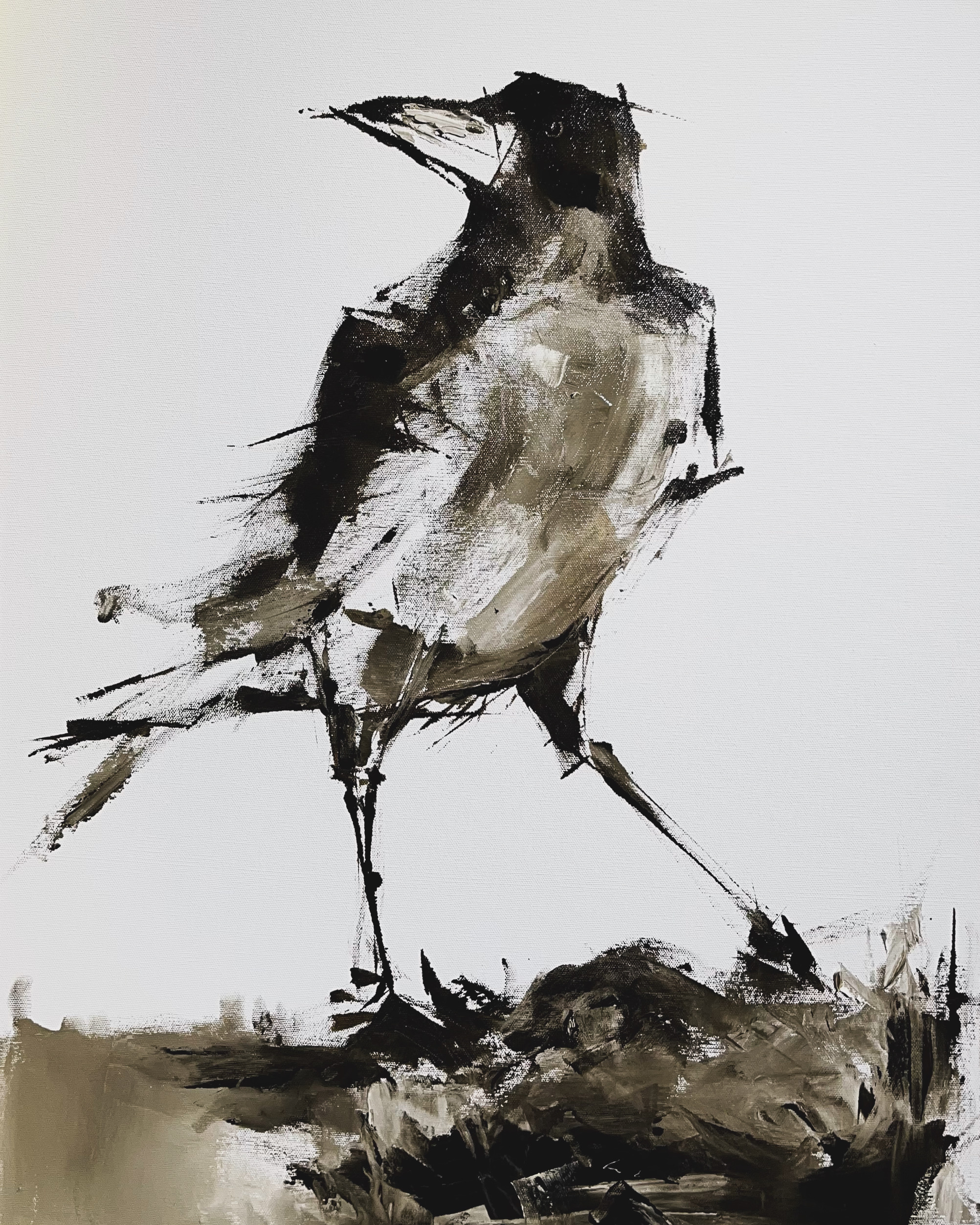 Crow - Görsel 1