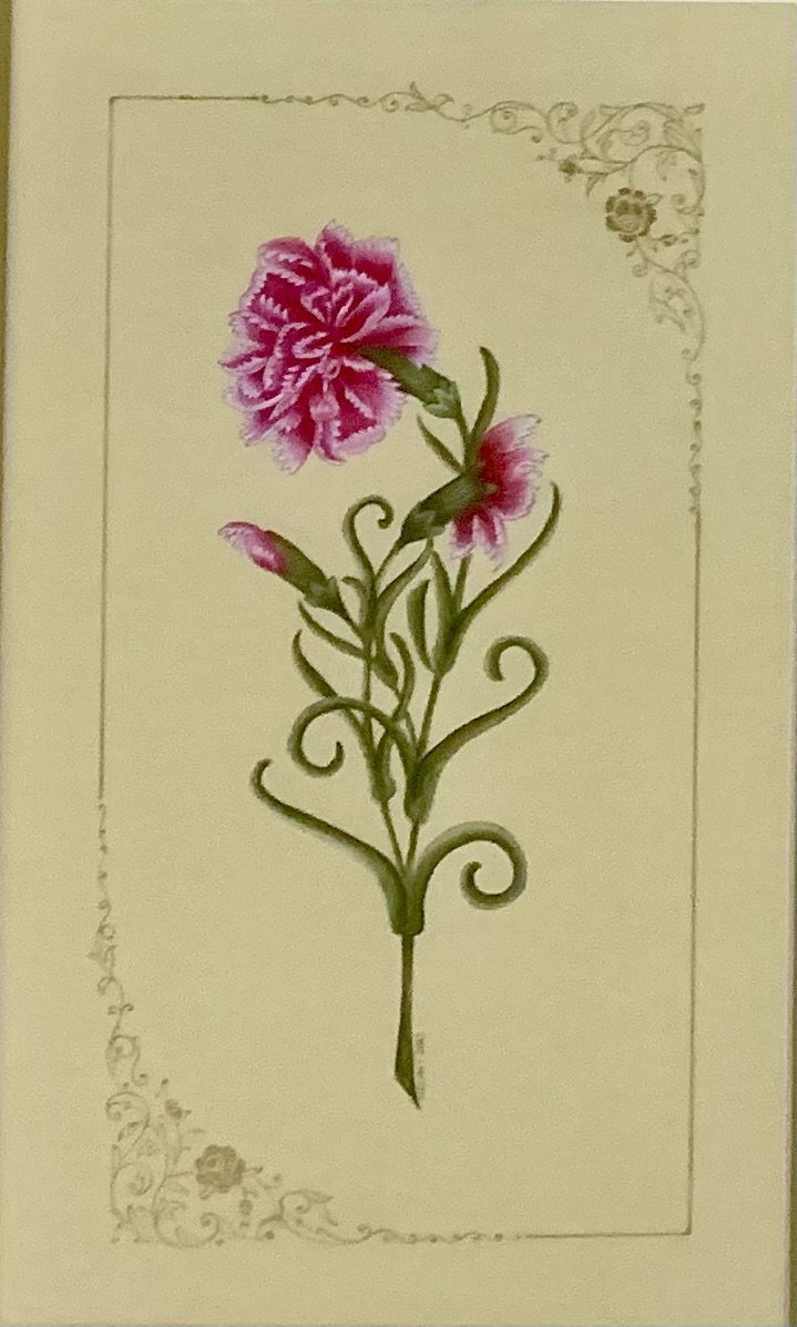 KARANFİL - Görsel 4