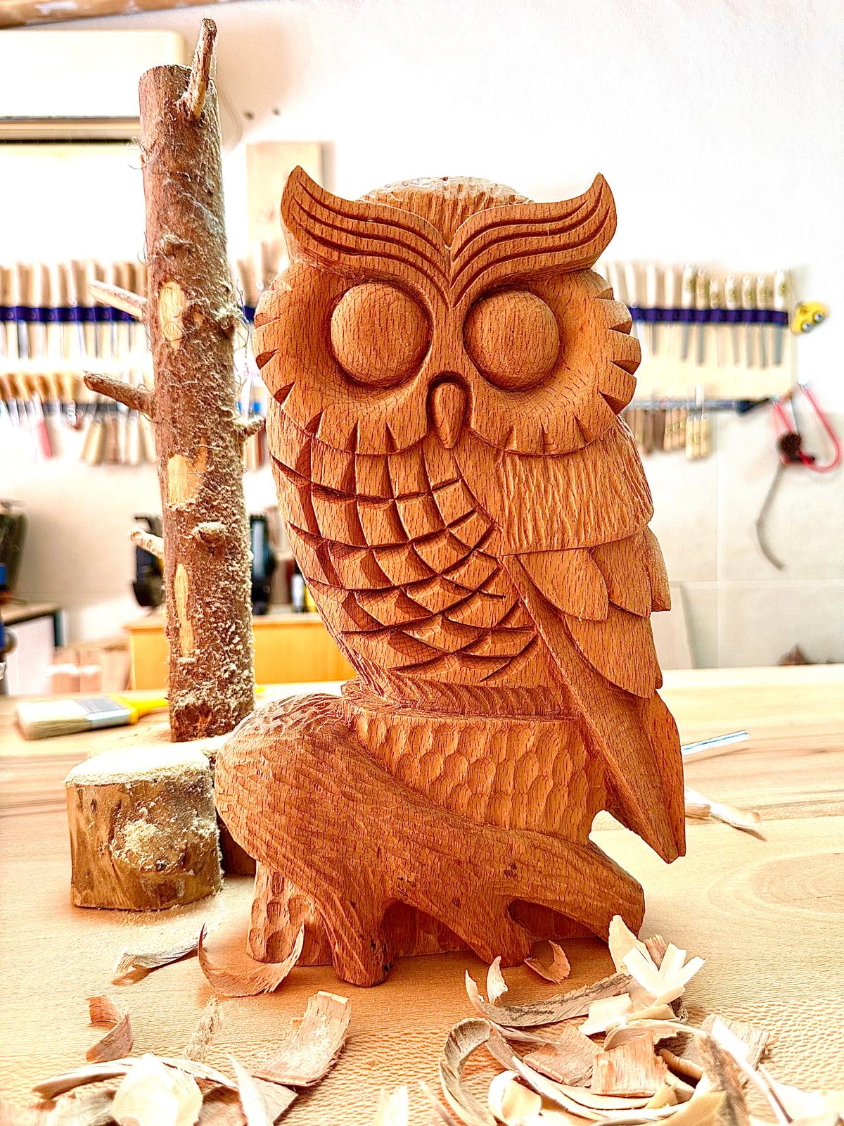 Bilge Baykuş - Görsel 1