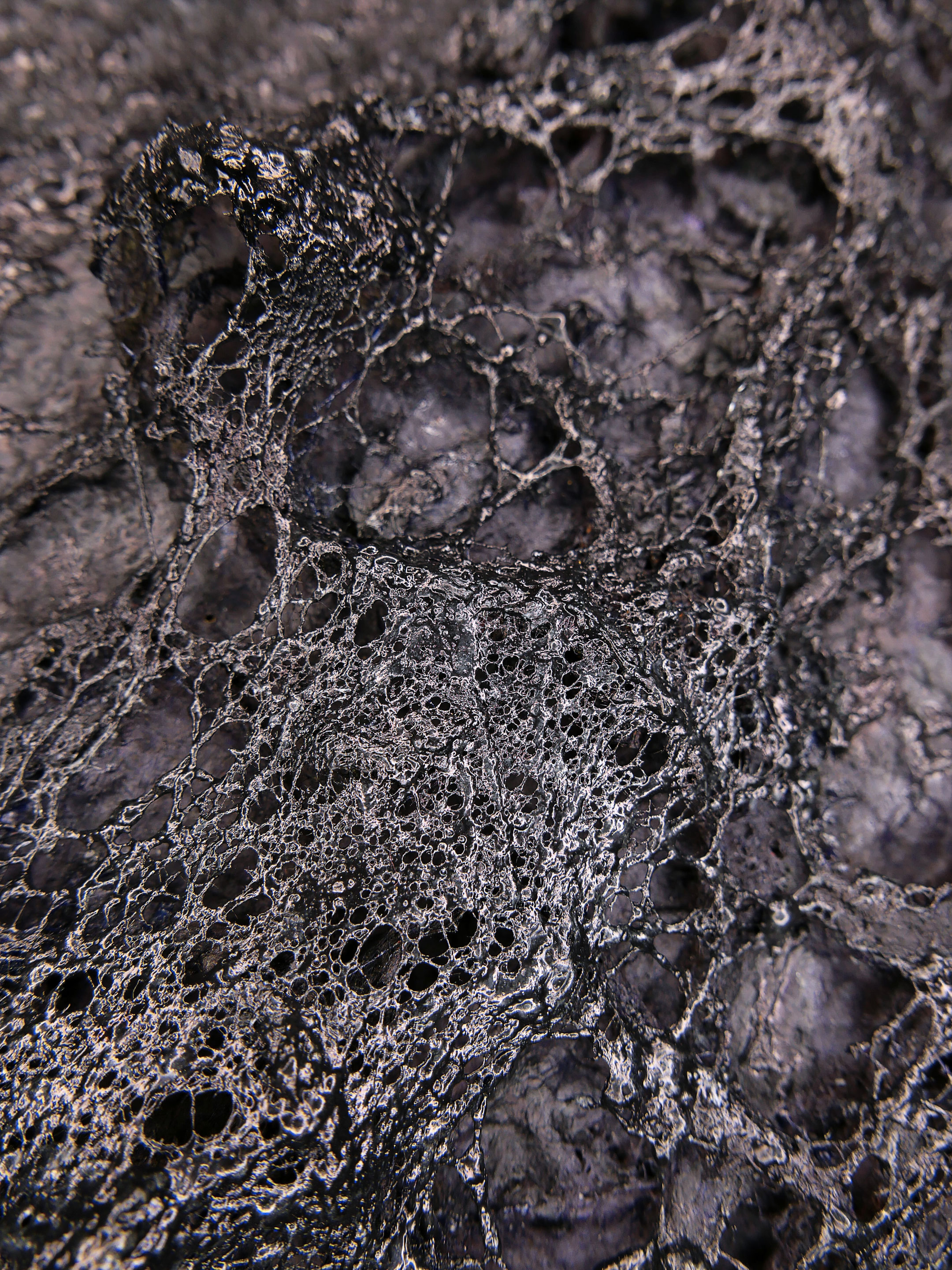 The Old Man and the Sea - Görsel 6