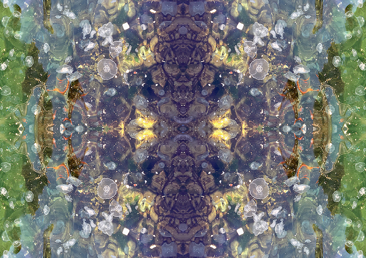 Medusae 2 - Görsel 1