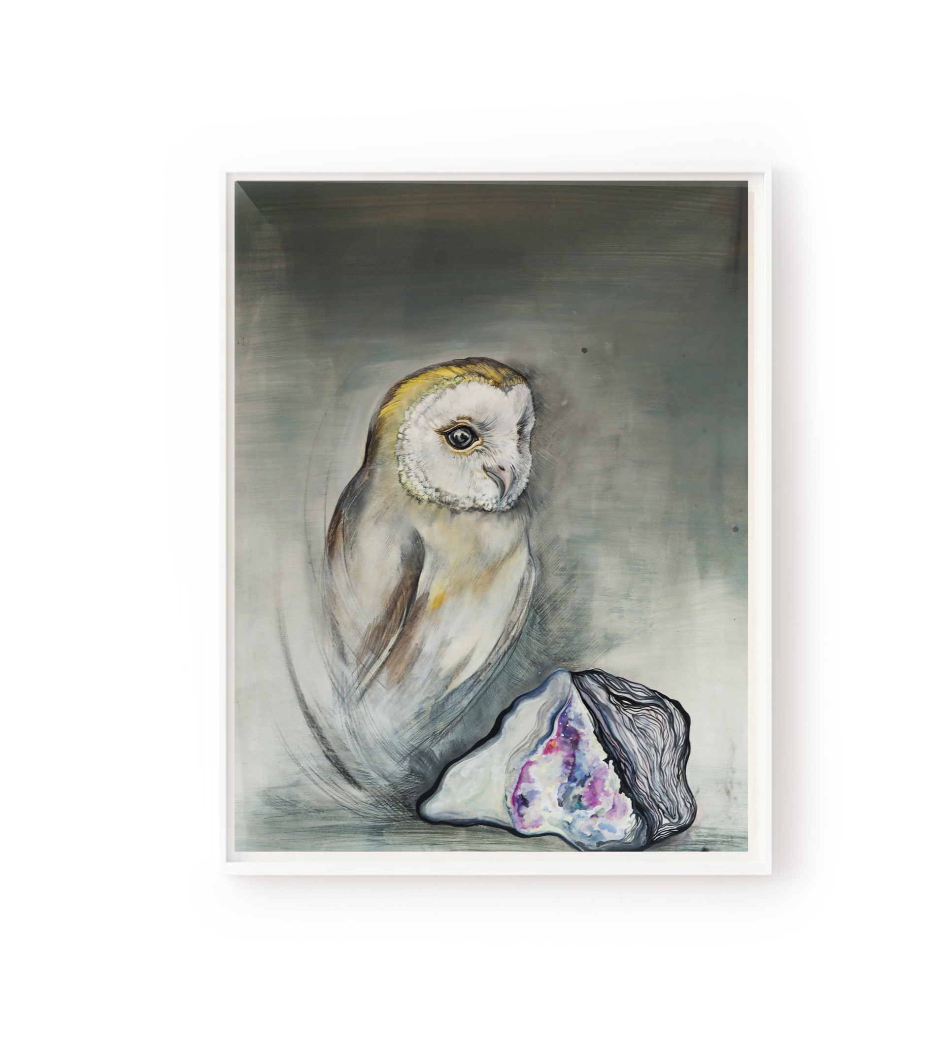 grey owl - Görsel 1