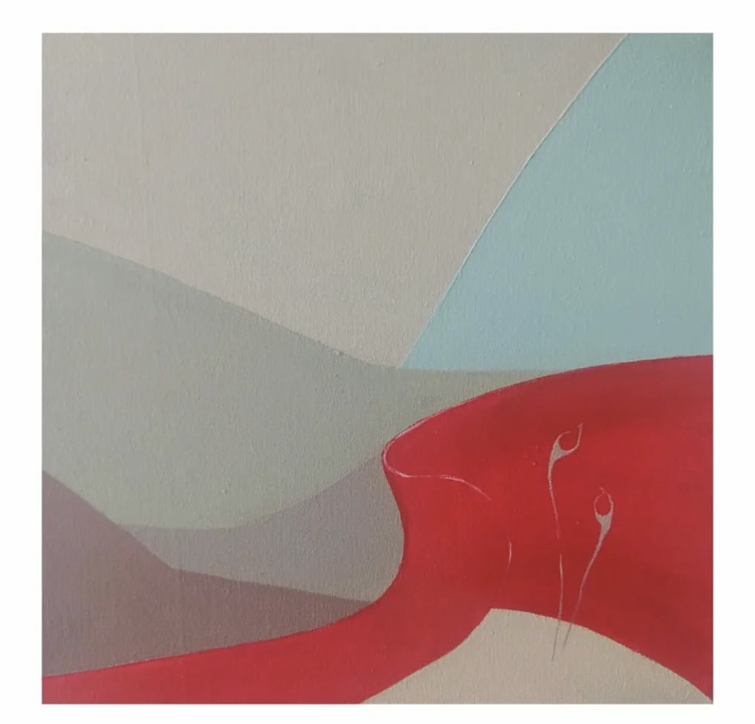 Sinerji Red  - Görsel 3