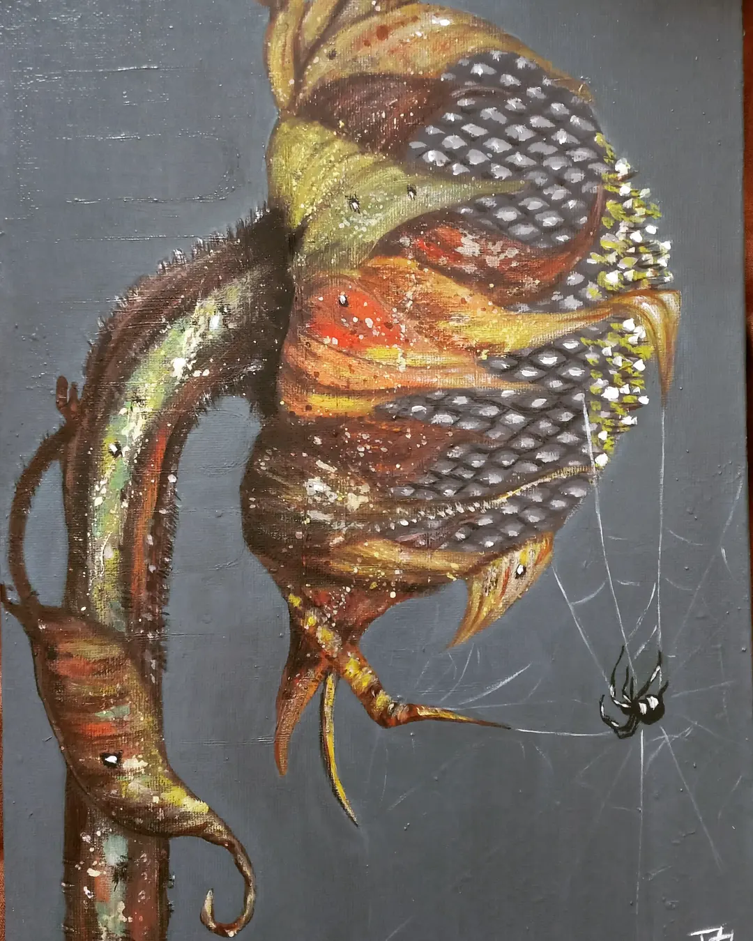 Ankebut  - Görsel 2