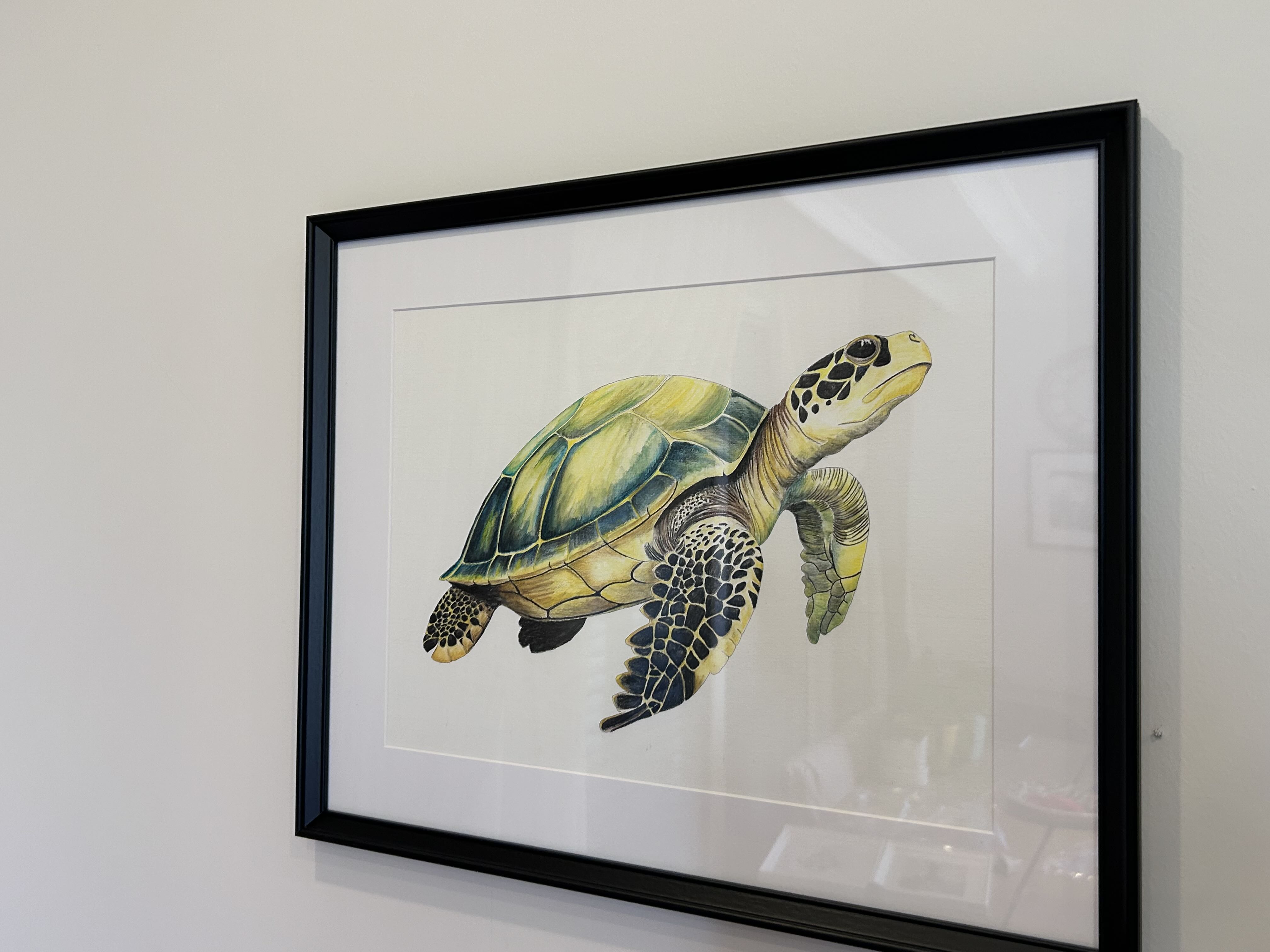 Caretta - Görsel 4