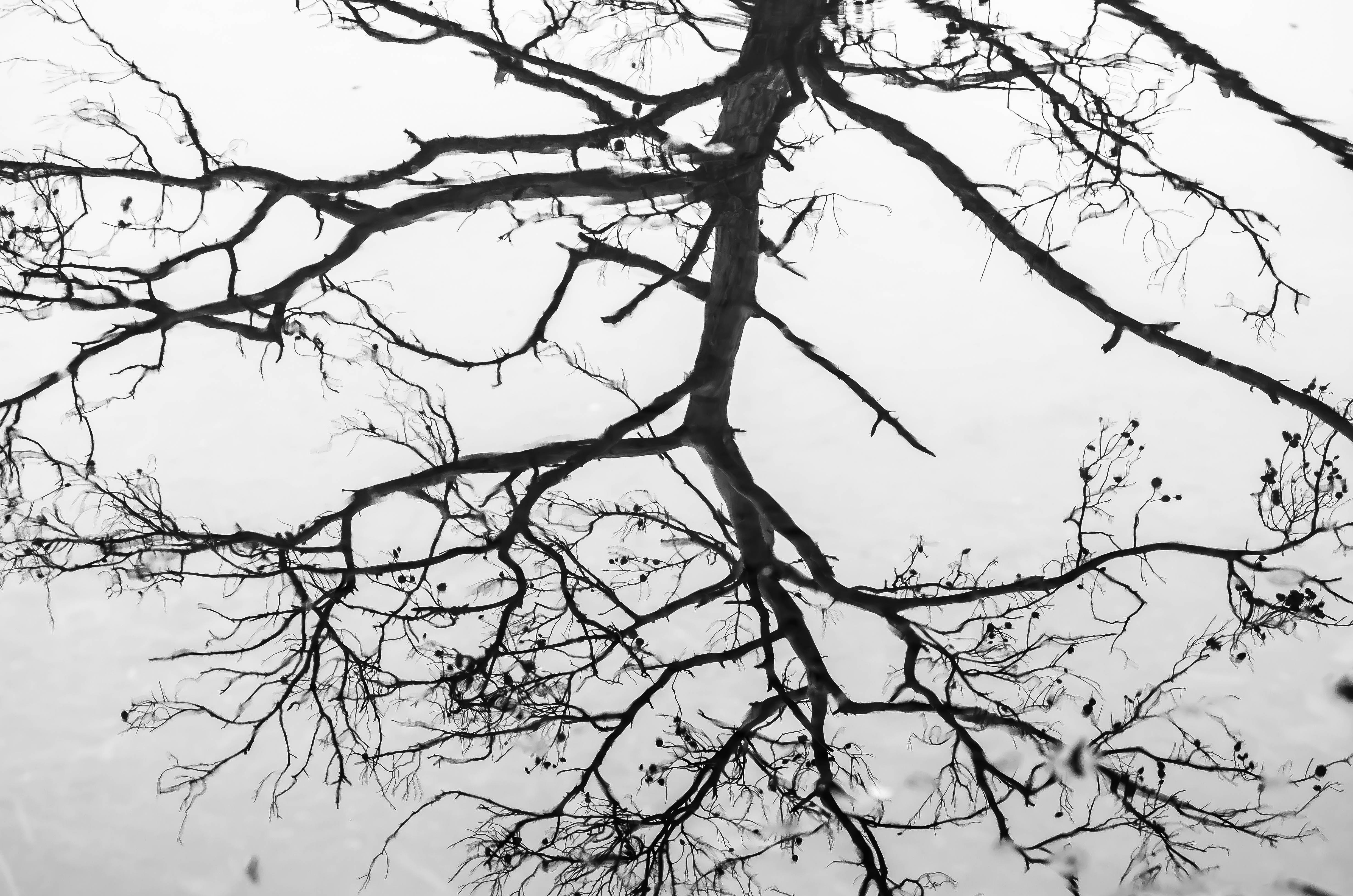 Suya Düşmek - Görsel 1