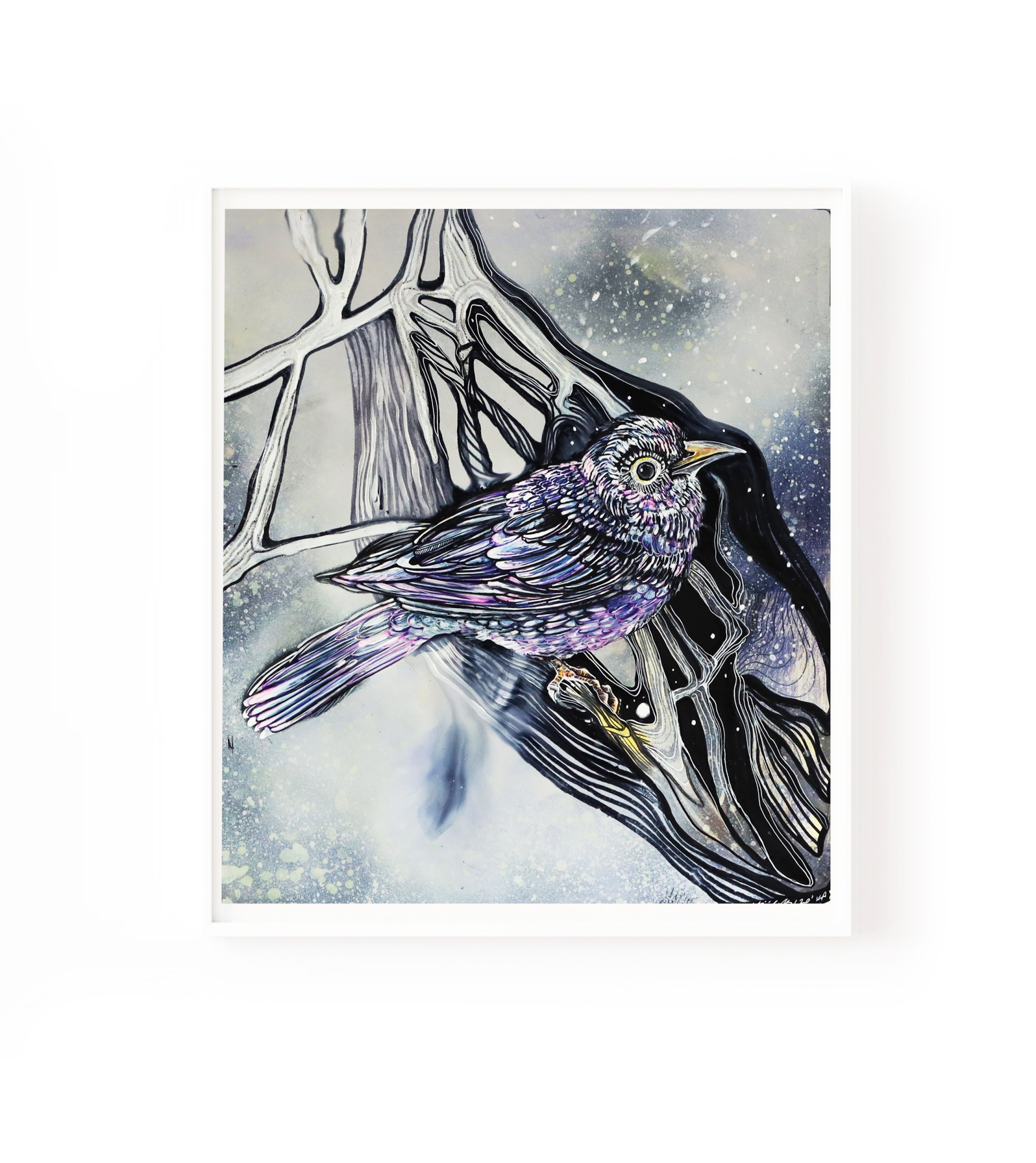 purple bird - Görsel 1