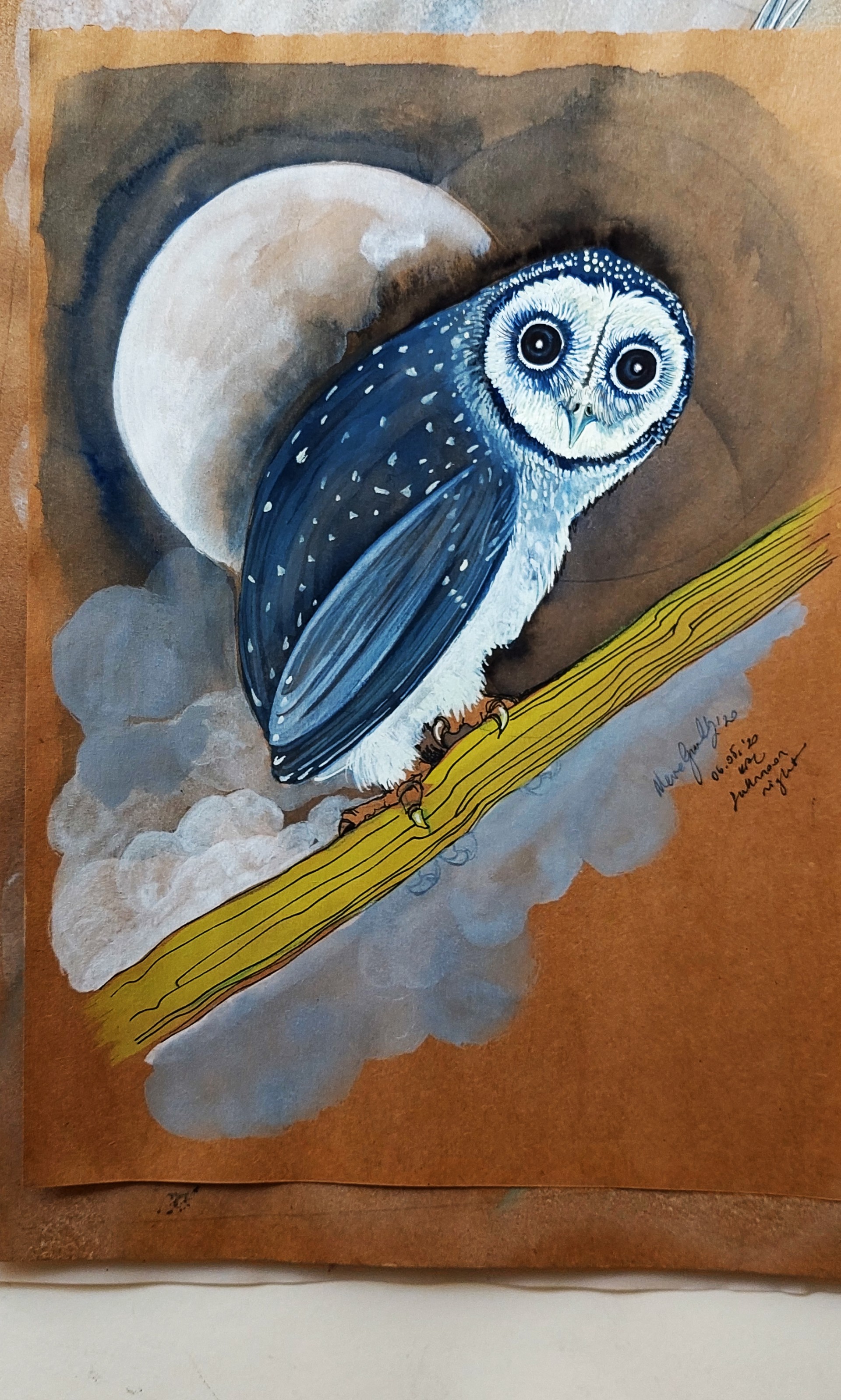 owl and fullmoon - Görsel 2
