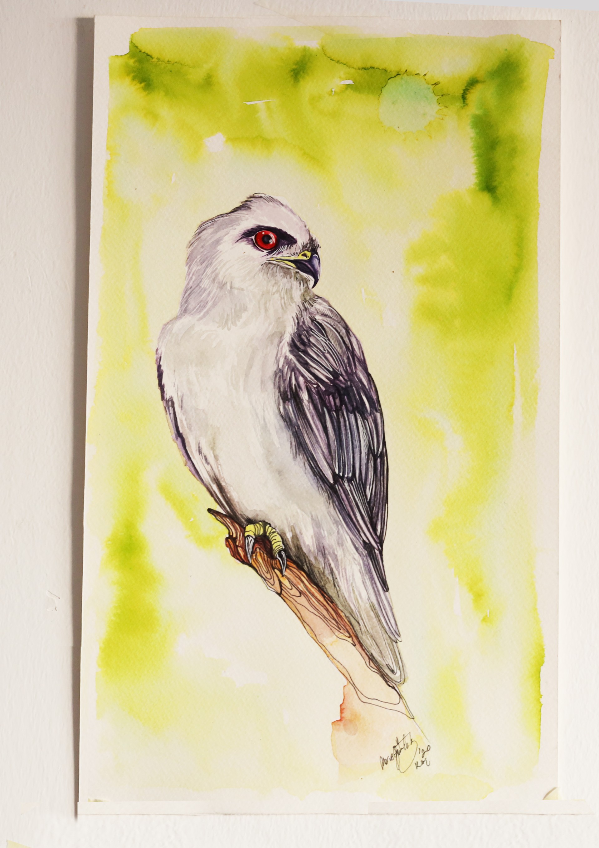 HAWK - Görsel 3