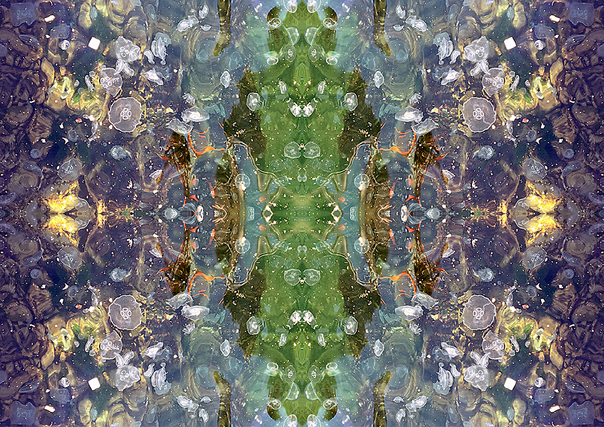 Medusae 1 - Görsel 1