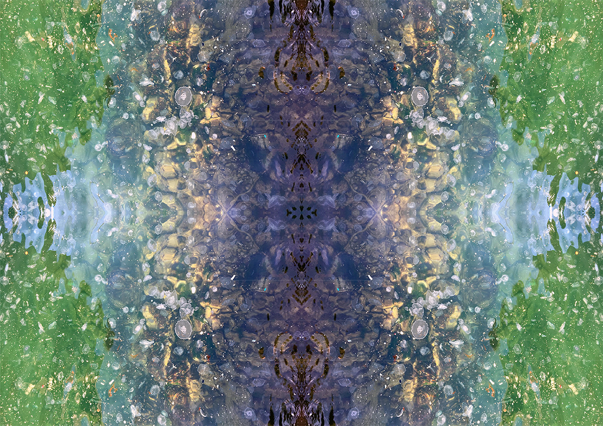 Aurelia - Görsel 1