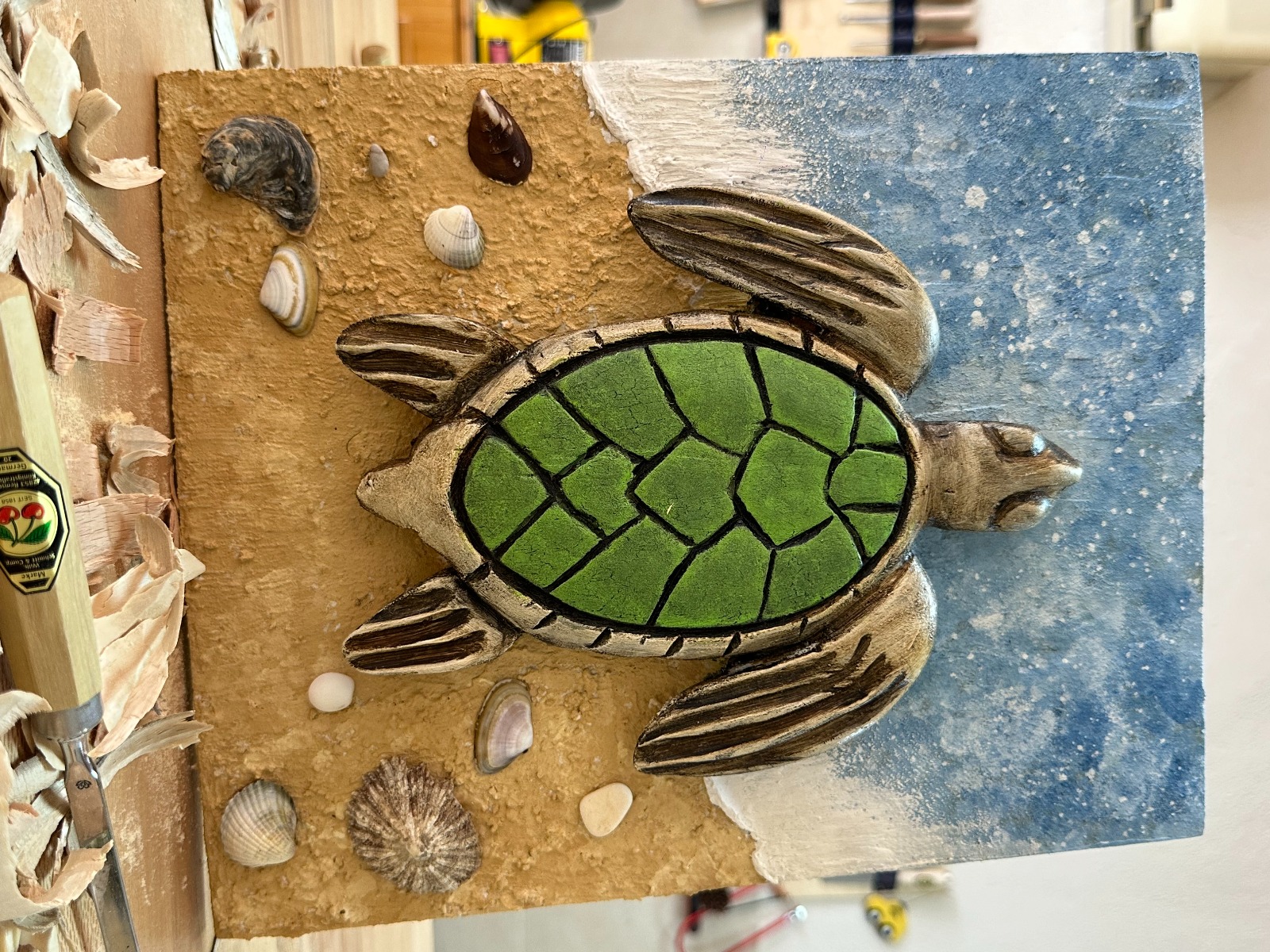 Özgür Kaplumbağa - Görsel 1