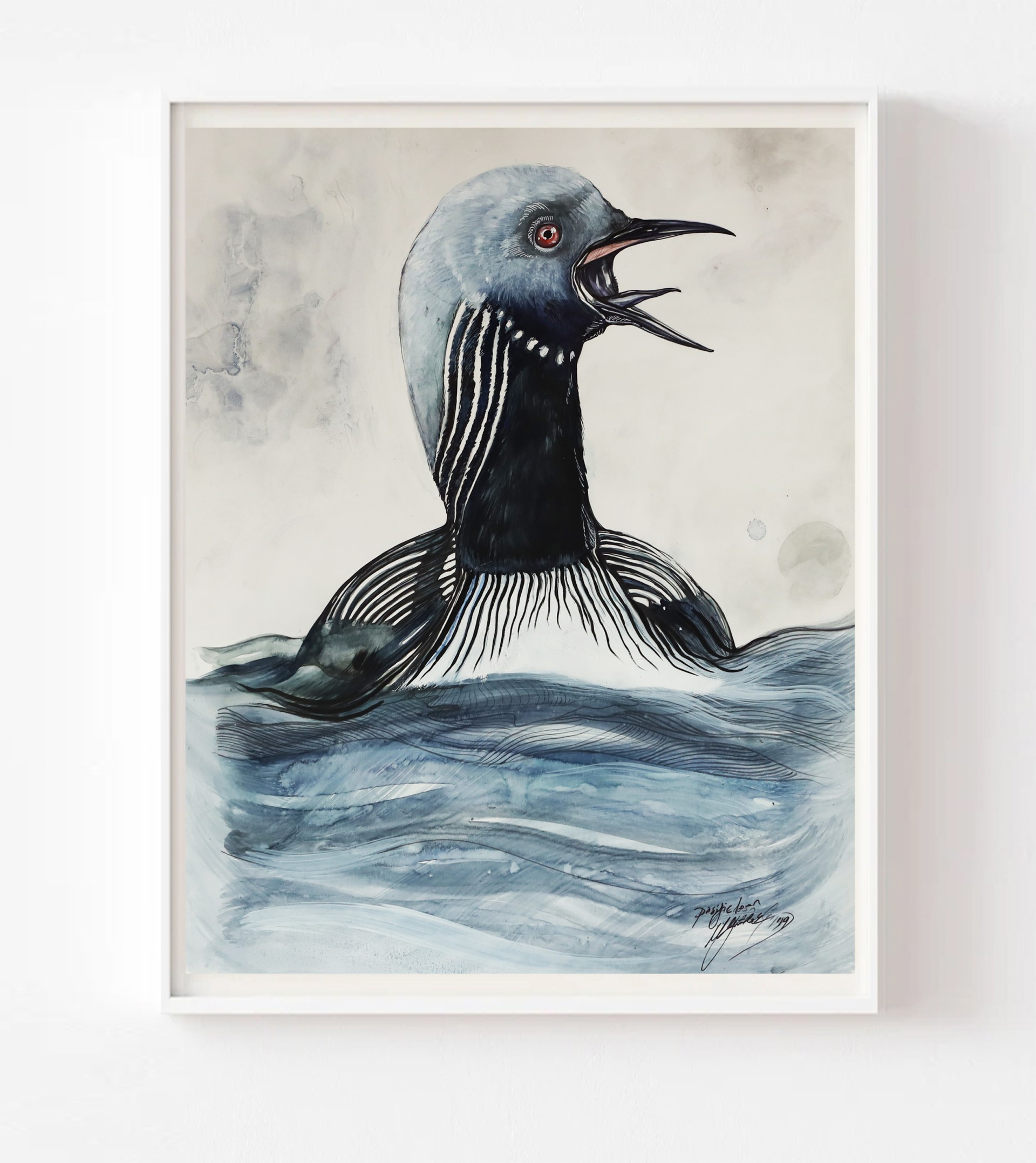 Pacific Loon - Görsel 1